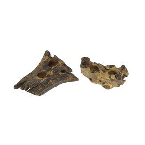 Set of 2 Natural Gamal Root Wood Double Tealight Candle Holders - 8 Inch